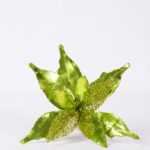 22*43CM Single Poinsettia GS-3350056