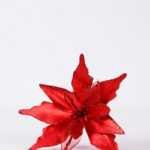 24*44CM Single Poinsettia GS-3350058