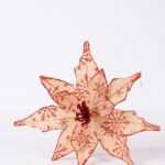26**45CM Single Poinsettia GS-3350059