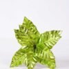 20*44CM Single Poinsettia GS-3350065