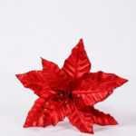 22*45CM Single Poinsettia GS-3350070