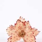 22*46CM Single Poinsettia GS-3350106