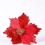 26*48CM Single Poinsettia GS-3350116