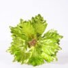 26*50CM Single Poinsettia GS-3350123