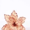 25*48CM Single Poinsettia GS-3350133 1 25*48CM Single Poinsettia GS-3350133