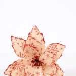 25*48CM Single Poinsettia GS-3350133