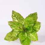 24*48CM Single Poinsettia GS-3350135