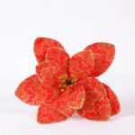 24*48CM Single Poinsettia GS-3350154