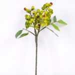 14*22CM Berry Spary GS-3350167