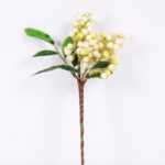 12*22cm Berry Spary GS-3350168