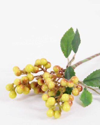 19*21CM Berry Spary GS-3350169