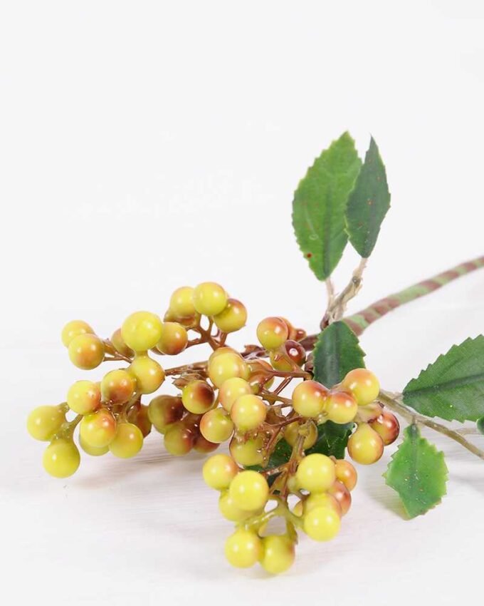 19*21CM Berry Spary GS-3350169