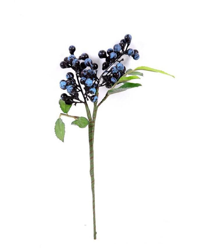 14*24CM Berry Spary GS-3350172