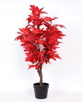 60*90CM maple tree GS-3420007