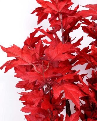 60*90CM maple tree GS-3420007