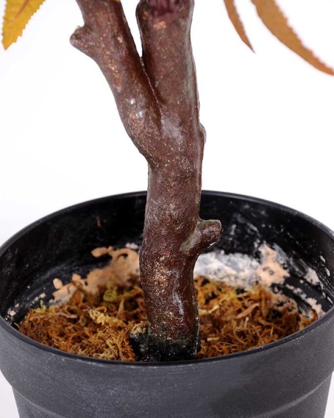 75*90CM maple tree GS-3420009 1 75*90CM maple tree GS-3420009