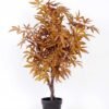 75*90CM maple tree GS-3420009 2 75*90CM maple tree GS-3420009