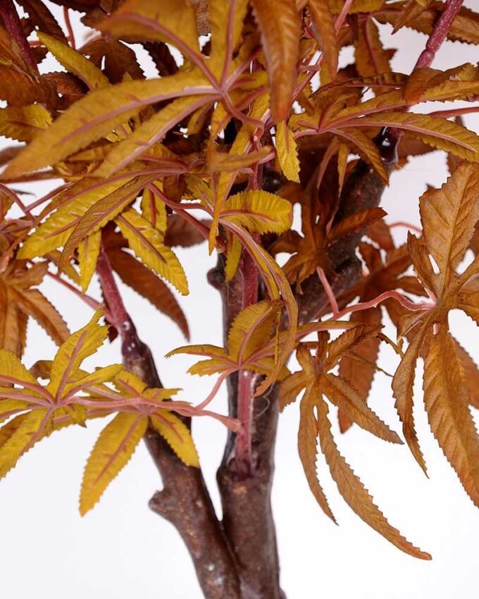 75*90CM maple tree GS-3420009 4 75*90CM maple tree GS-3420009