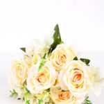25*45 HYDRANGEA ROSE*12 GS-3450023-C1