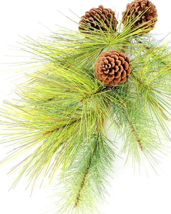 34" Pine needle & plastic pine cone GS-3480098