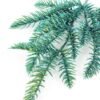 18" Mini Pine Needle GS-3480099C