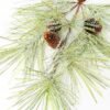 36" Pine needle & plastic pine cone GS-3480100P