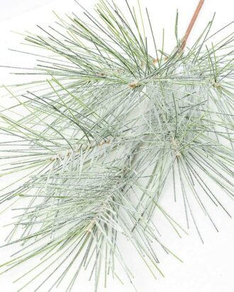 28" Pine needle GS-3480102C