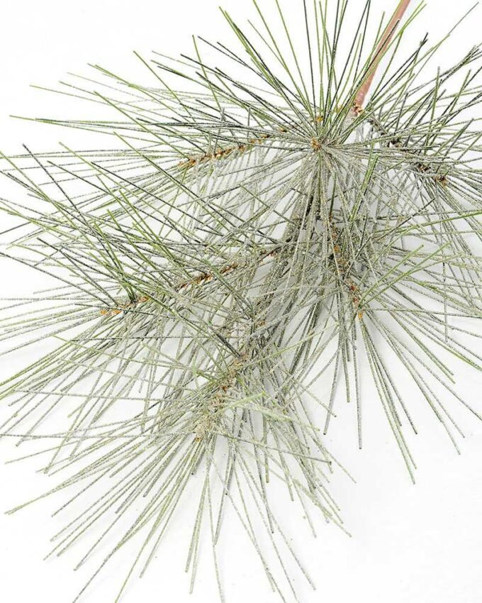 28" Pine needle GS-3480102D