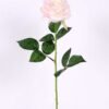 22*61CM single rose GS-3580002-P1