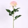 22*61CM single rose GS-3580002-P2
