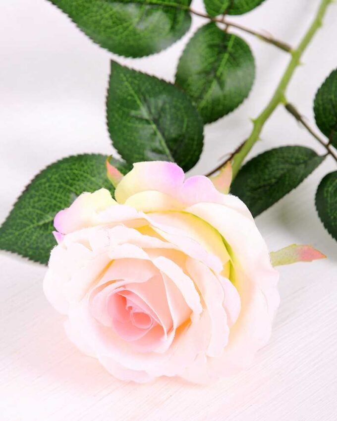 22*61CM single rose GS-3580002-P2