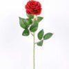 22*61CM single rose GS-3580002-R1