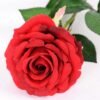 22*61CM single rose GS-3580002-R1