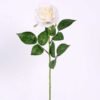 22*61CM single rose GS-3580002-W1