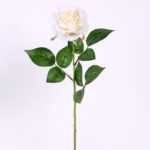22*61CM single rose GS-3580002-W1