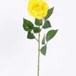 22*61CM single rose GS-3580002-Y1