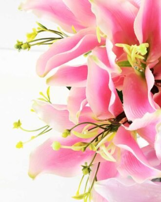 Lily bush*9 GS-3620004