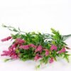 16*36CM Plastic Grass Bush*5 GS-3660050-R1