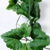 W18 H200cm Grape lvs vine Garland GS-3710003