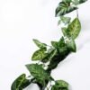 W18 H200cm Lvs vine Garland GS-3710006