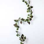 W18 H200cm Lvs vine Garland GS-3710007