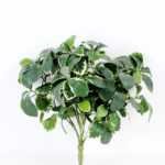 W27 H36cm Lvs Garland GS-3710012