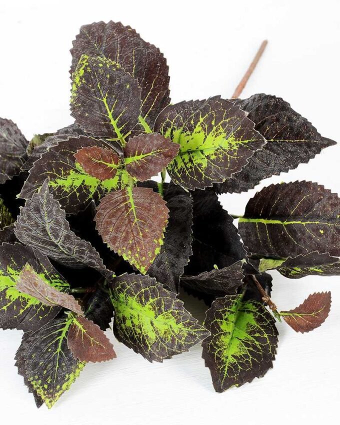 W30 H40cm Lvs bush GS-3710015