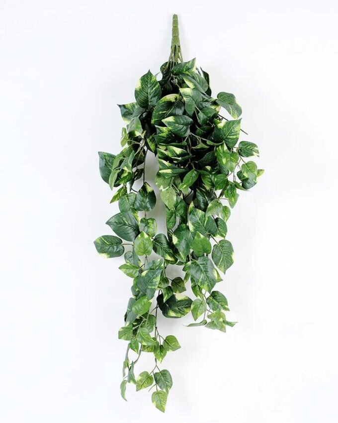 W40 H80cm Lvs spray GS-3710024