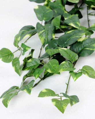 W40 H80cm Lvs spray GS-3710024