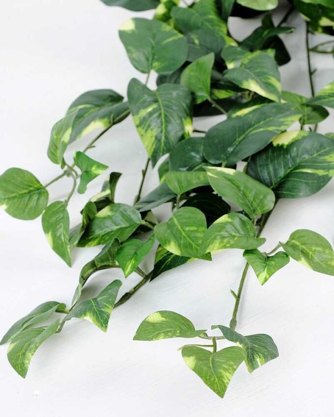 W40 H80cm Lvs spray GS-3710024