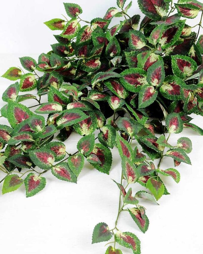 W43 H82cm Lvs spray GS-3710026