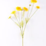 H:11*89cm Marigold GS-1450120-Y1