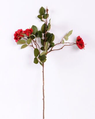 72cm Sweet Rose*5 GS-1450124