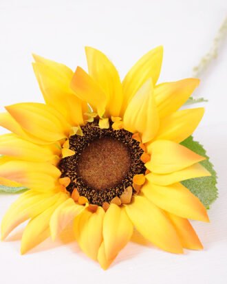 60cm Single Sunflower GS-1450127-Y1